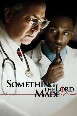 Something the Lord Made บางสิ่งที่พระเจ้าสร้าง (2004) บรรยายไทย
