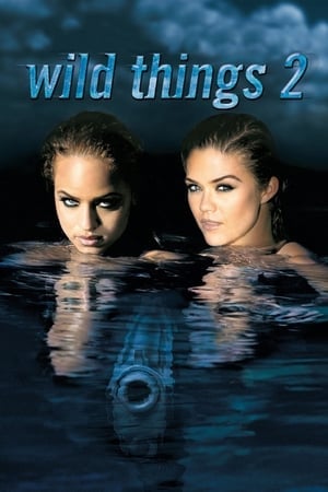 Wild Things 2 เกมซ่อนกล 2 (2004)