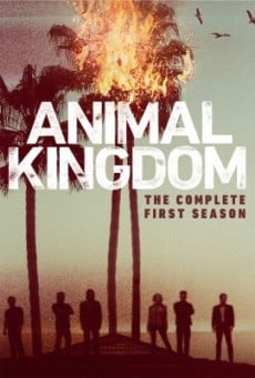 Animal Kingdom Season 1