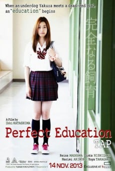 Tap.Perfect.Education[2013]