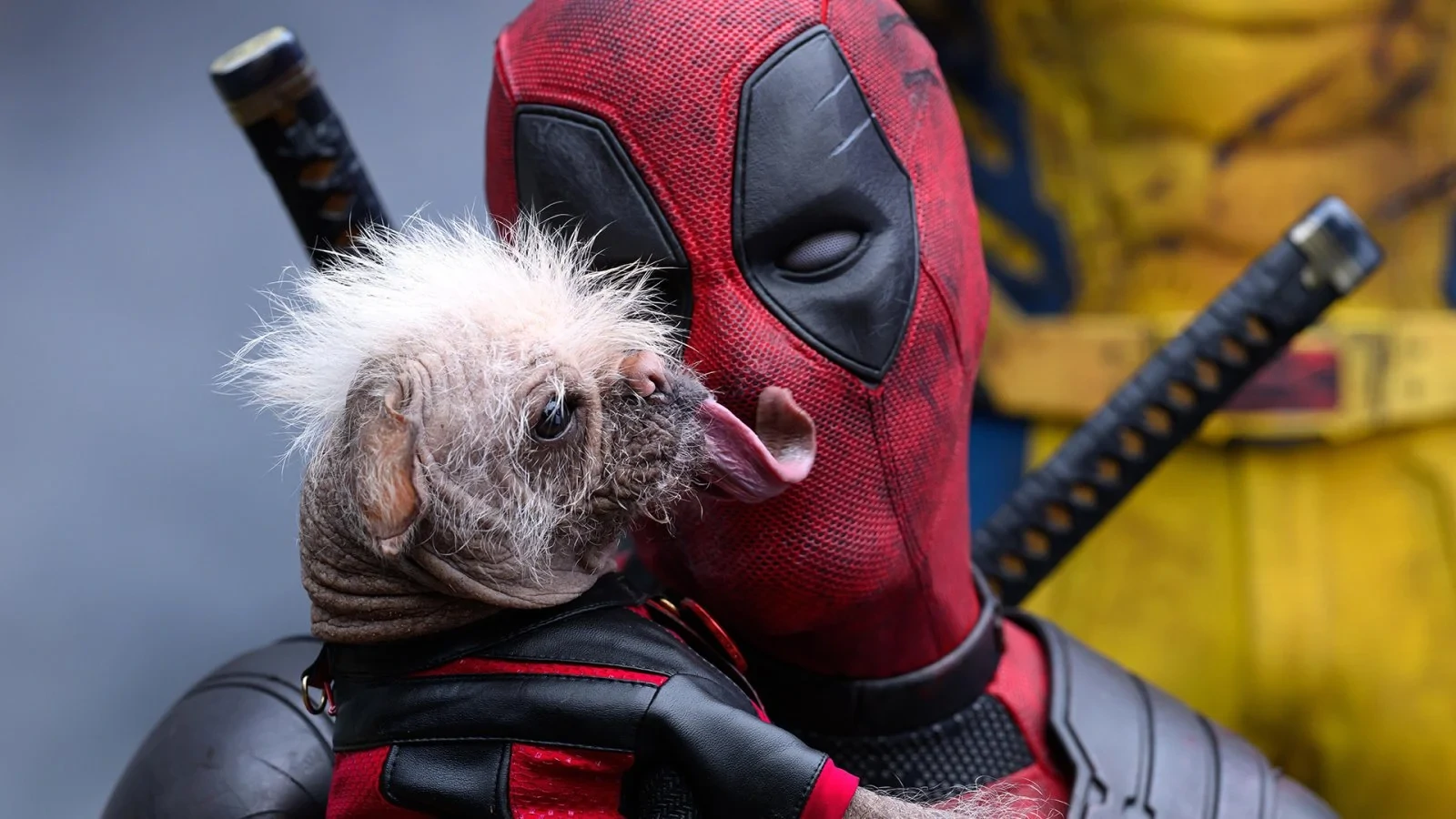 รีวิว Deadpool & Wolverine