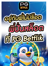 pgbetflik member
